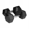 Guminiai ketaus hanteliai HEX 2x10 kg REBEL ACTIVE