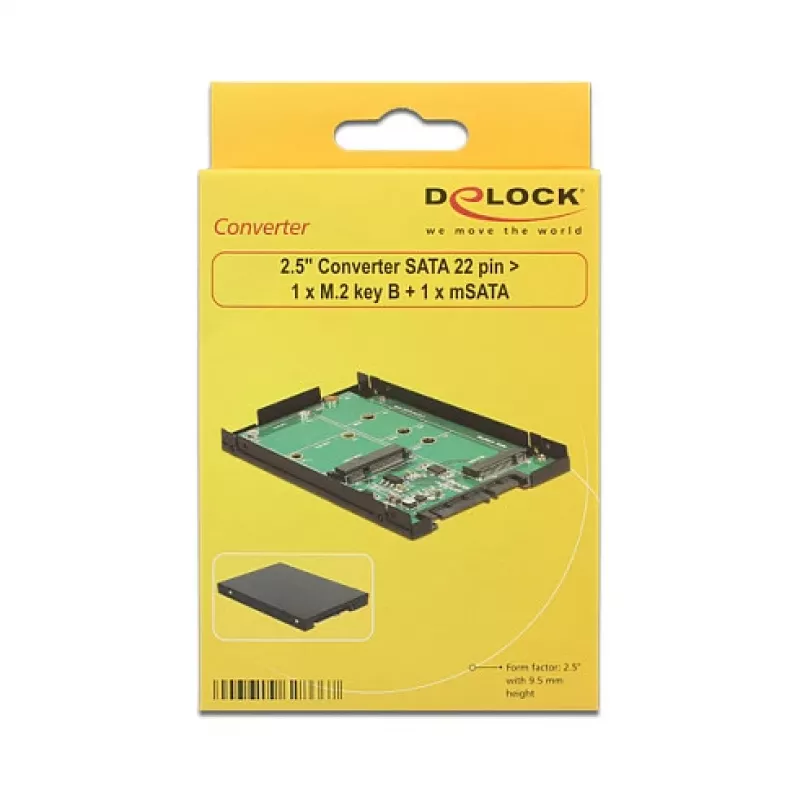 DeLOCK 62866 vidinė M.2 / mSATA sąsajos plokštė