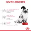 Sausas kačių ėdalas Royal Canin Mother & Babycat 2 kg – vištiena, nėščioms, žindančioms katėms ir kačiukams