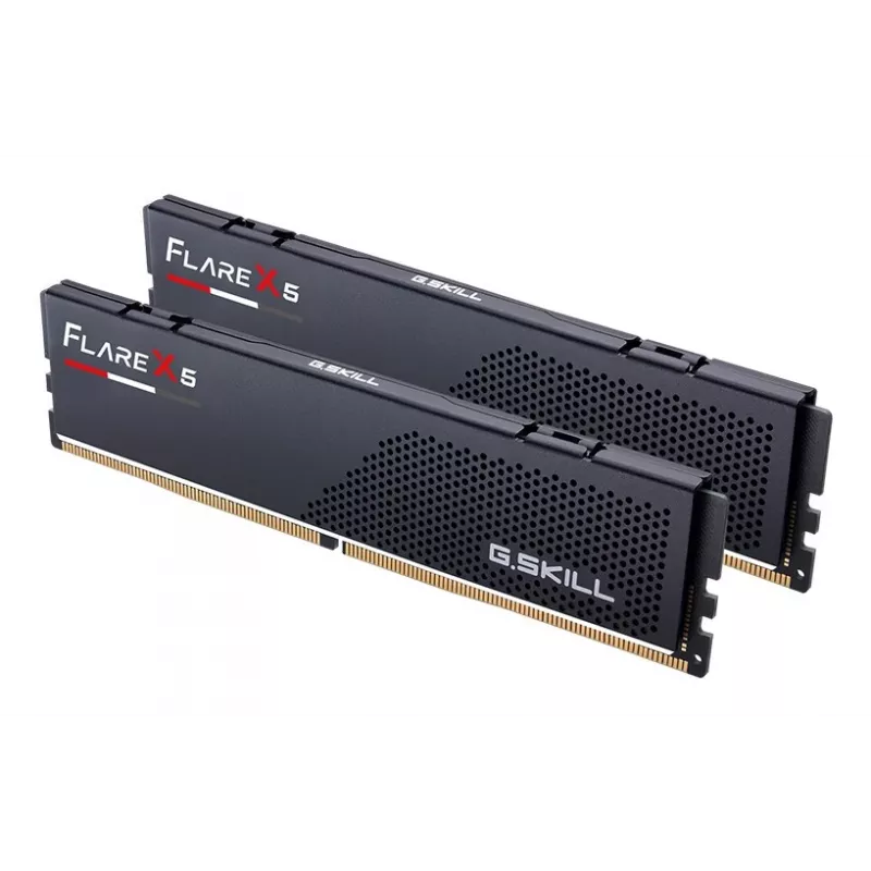 G.Skill Flare X5 F5-6000J3038F8GH2-FX5 16 GB (2×8 GB) DDR5 6000 MT/s atminties rinkinys