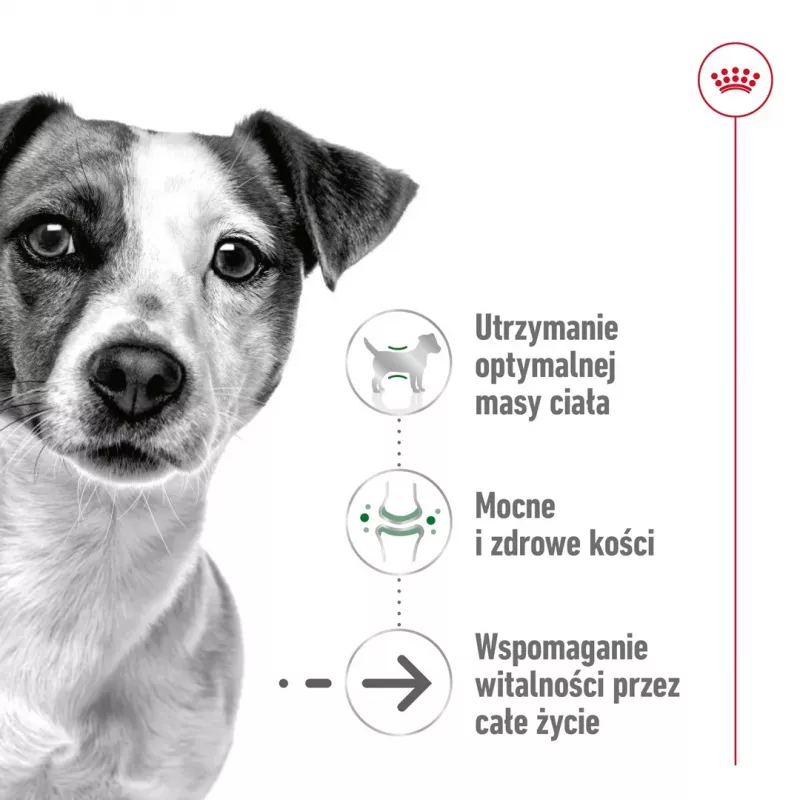 ROYAL CANIN Mini Ageing Adult +12 – sausas šunų ėdalas – 3,5 kg