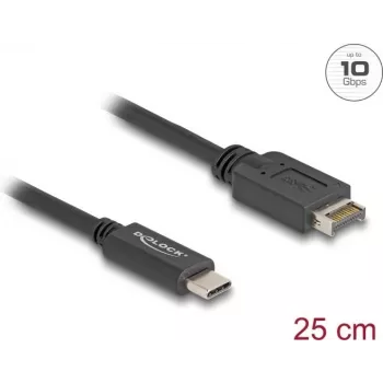 DeLOCK USB laidas USB Type-E Key A 20 kontaktų kištukas į USB Type-C kištuką 25 cm