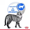 Šlapias kačių ėdalas Royal Canin Indoor Sterilized 85 g maišelis – suaugusioms sterilizuotoms katėms, paukštienos skonis, pakuotė 12 x 85 g