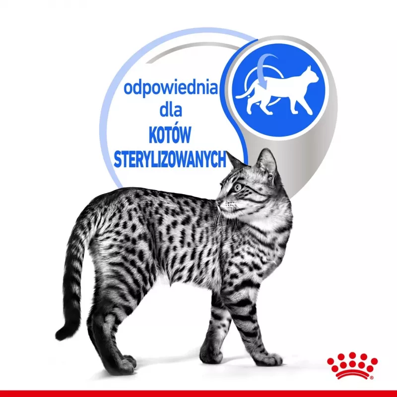 Šlapias kačių ėdalas Royal Canin Indoor Sterilized 85 g maišelis – suaugusioms sterilizuotoms katėms, paukštienos skonis, pakuotė 12 x 85 g