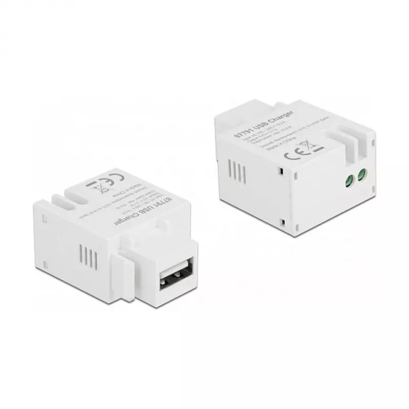 Keystone modulis USB Type-A įkrovimo prievadas DeLOCK 87791