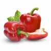 Sėklų granulės Seklos LT Ożarowska Paprika 50 sėklų (dengtos)