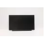 Lenovo 02HL701 13,3 colio HD TN LCD ekrano skydelis, matinis, 250 cd/m²