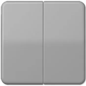 Jung CD 595 GR (CD595GR) – Jungties modulis