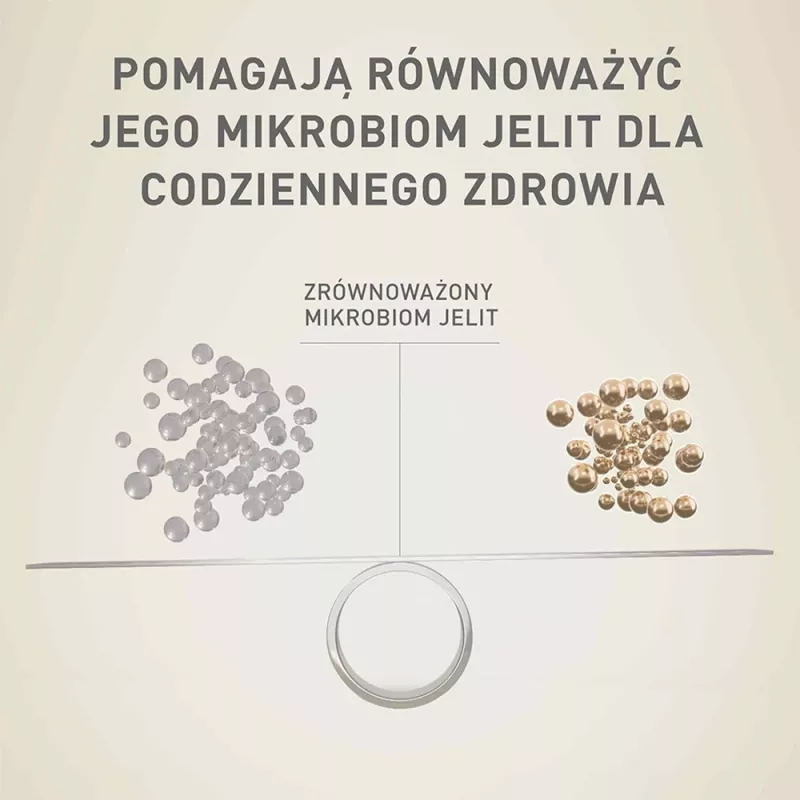 Sausas šunų ėdalas Purina Nestlé One Mini/Small Sensitive Salmon & Rice 800 g – mažiems šunims (5–10 kg), senjorams, 27% baltymų, 17% riebalų
