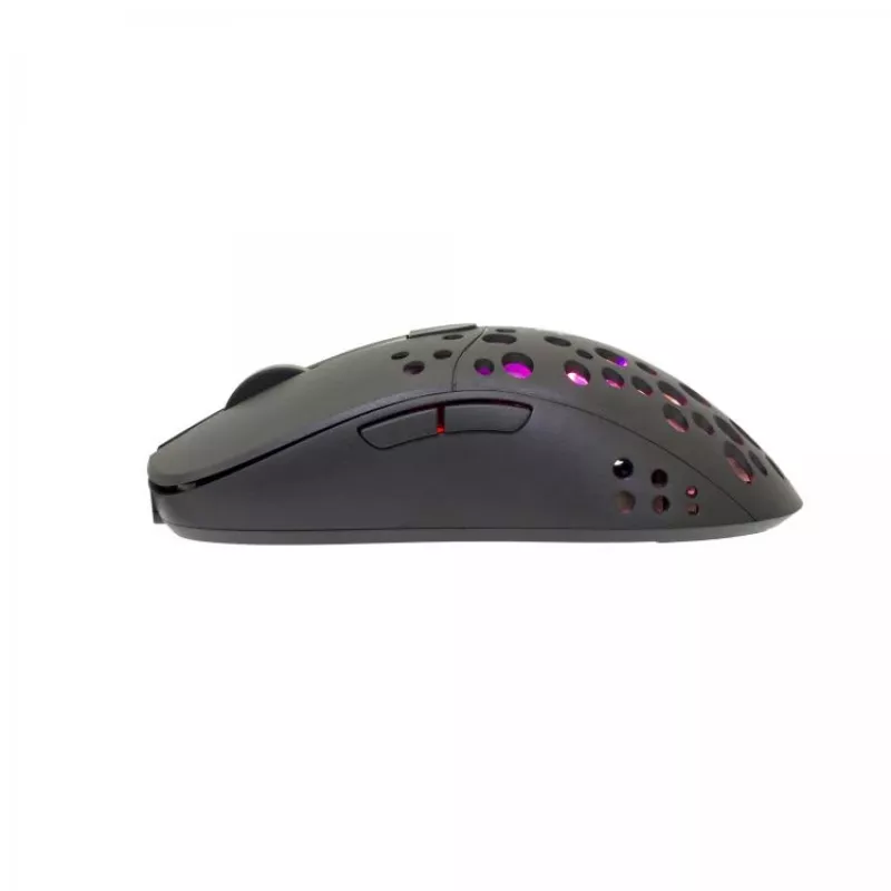 Pelytė White Shark TRISTAN USB Type-A