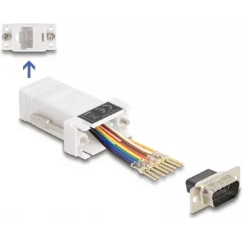 DeLOCK D-Sub 9 kontaktų vyriškas į RJ45 moterišką surinkimo rinkinys baltas VGA RJ-45