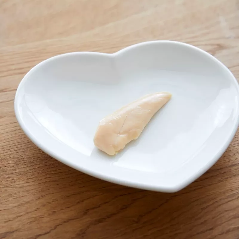 INABA Ciao keptelėti vištienos filė vištienos skonio sultinyje - skanėstai katėms - 25g