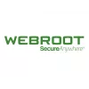 Webroot DNS Protection su GSM Console | 1 metai | Licencija 1-9 naudotojams