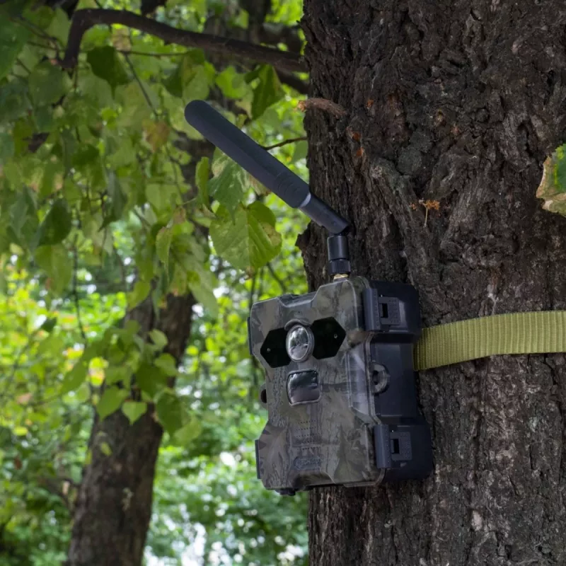 Technaxx 4G Wildcam TX-189 Lauko kamera 4MP CMOS su saulės baterija