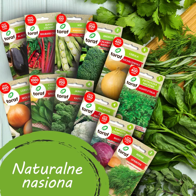 Toraf Daržovių sėklų rinkinys Harmony – 12 pakuočių