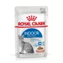 Šlapias kačių ėdalas Royal Canin Indoor Sterilized 12 x 85 g – paukštiena, suaugusioms sterilizuotoms kambario katėms