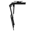 Lubinis TV laikiklis MACLEAN MC-109 T VESA 800x400, 43–86 colių, 45 kg