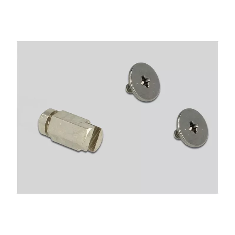 Vidinis M.2 adapteris DeLOCK 65831