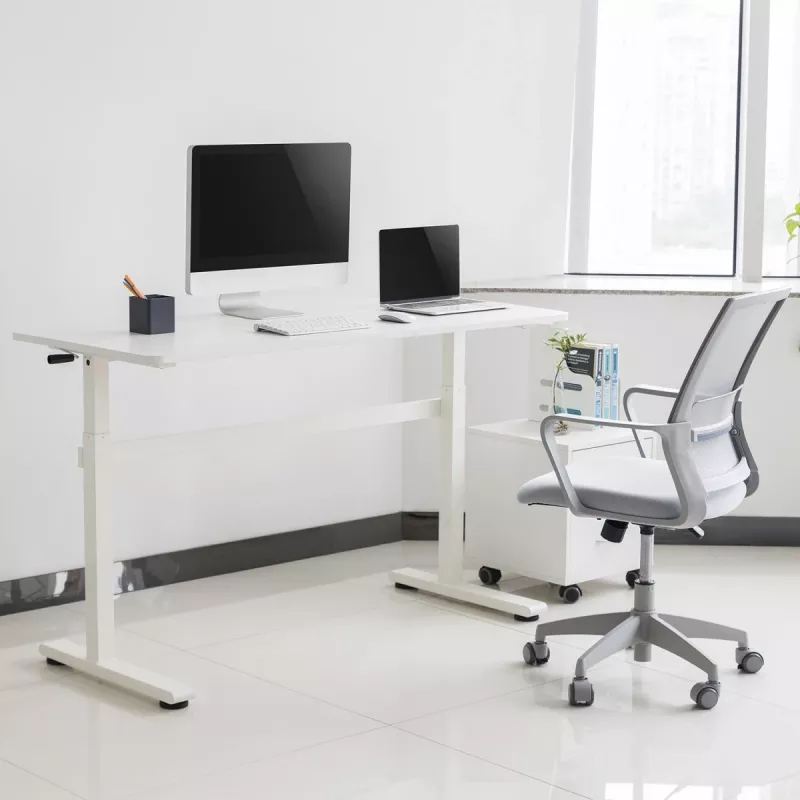 Stalas su rankiniu aukščio reguliavimu Ergo Office, maks. 40 kg, maks. aukštis 117 cm, su stalviršiu darbui stovint ir sėdint, ER-401 W