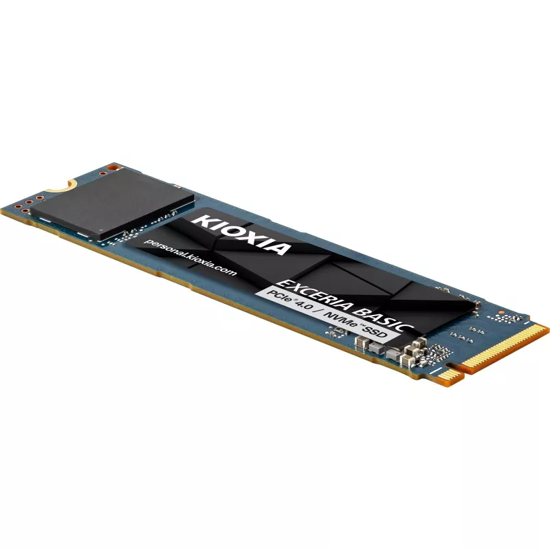 Vidinis SSD Kioxia LSF10Z001TG8 — 1 TB M.2 2280 PCIe 4.0 NVMe QLC
