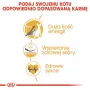 Sausas kačių ėdalas Royal Canin Sphynx Adult 2 kg – kiaulienos skonis