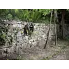 Sodo žarna Karcher Plus 1/2- 50M