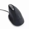 Pelė Gembird MUS-ERGO-03 USB Type-A optinė, skirta dešinei rankai