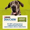 Purina DOG CHOW Large Breed Adult 14 kg Turkija