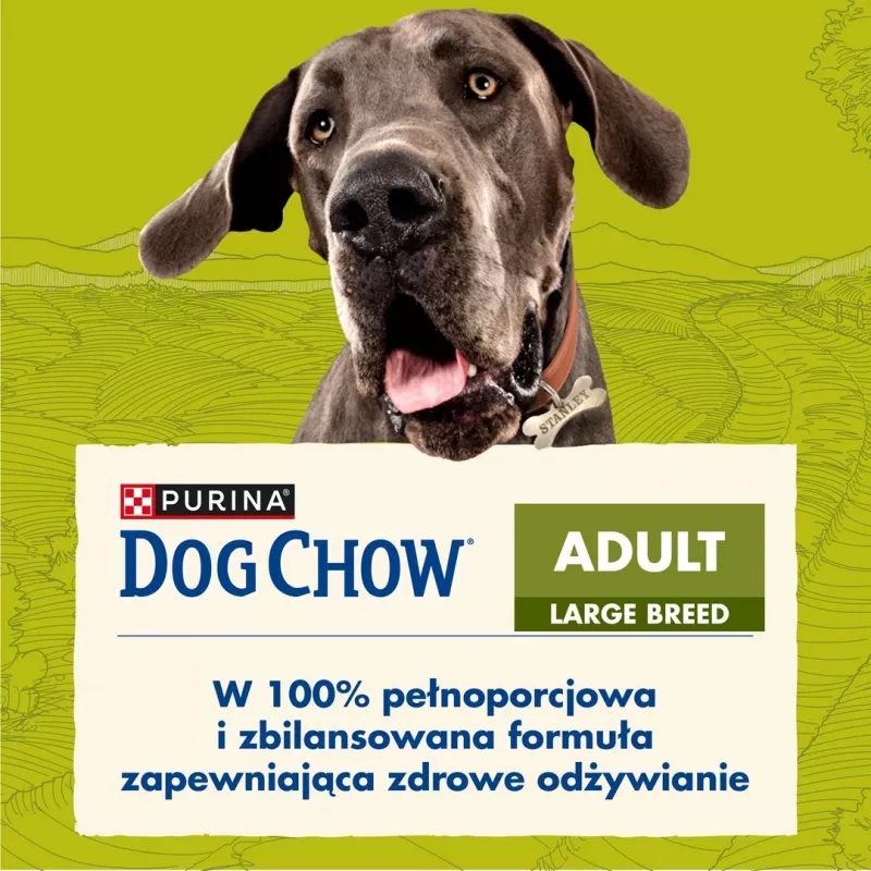 Purina DOG CHOW Large Breed Adult 14 kg Turkija