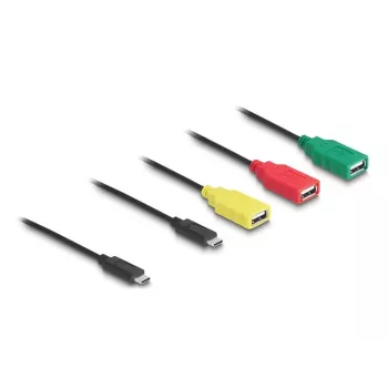 DeLOCK 4 prievadų USB 2.0 kabelinis šakotuvas USB Type-C į 3 x USB-A moteriškas + 1 x USB-C vyriškas