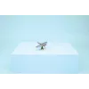 LEGO CREATOR 3 IN 1 31381 Bauginantis ryklys su lobių skrynia