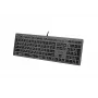 Laidinė klaviatūra A4Tech FX60H USB QWERTY – pilno dydžio 100%, baltas foninis apšvietimas, pilka, USB stotelė