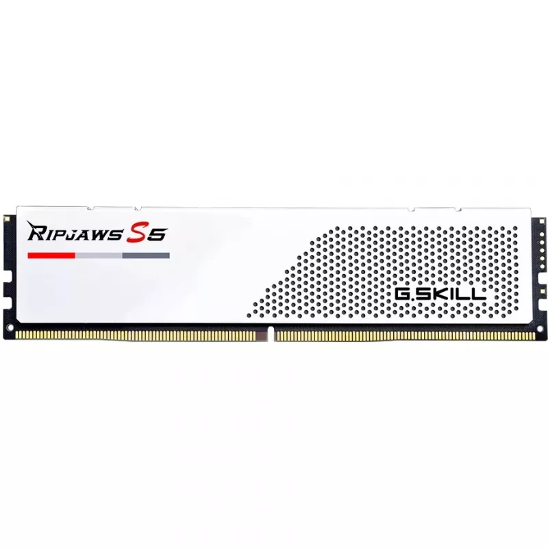 G.Skill F5-6000J3036F24GX2-RS5W atminties modulis 48 GB (2 x 24 GB) DDR5 5600 MT/s