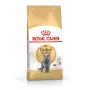 Sausas kačių ėdalas Royal Canin British Shorthair Adult 10 kg – paukštiena, baltymai 34%, riebalai 19%