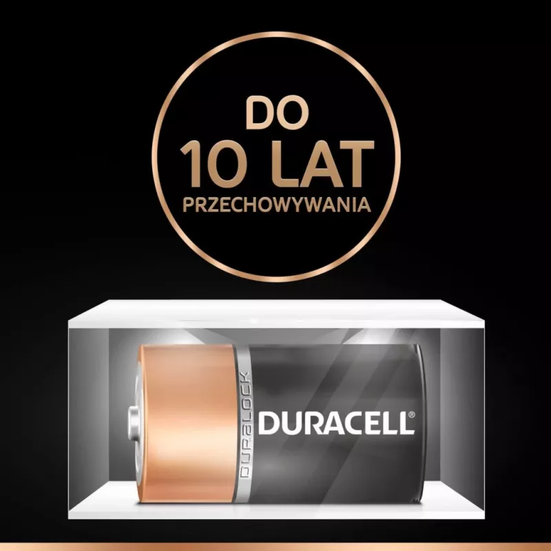 Baterijos Duracell Basic D (R20) – pakuotė po 2 vnt., cinko-anglies elementai