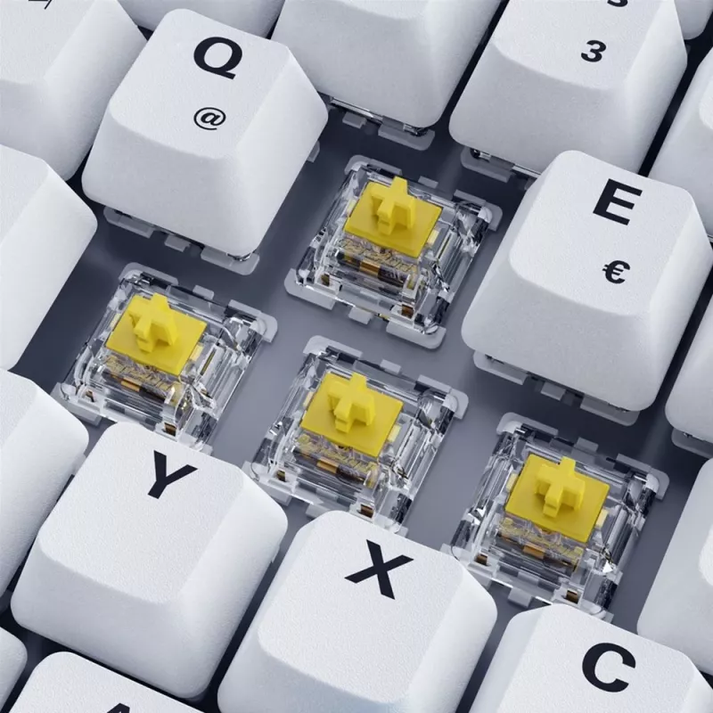 Sharkoon SKILLER SGK50 S3 PBT klaviatūra žaidimams USB QWERTZ vokiška balta