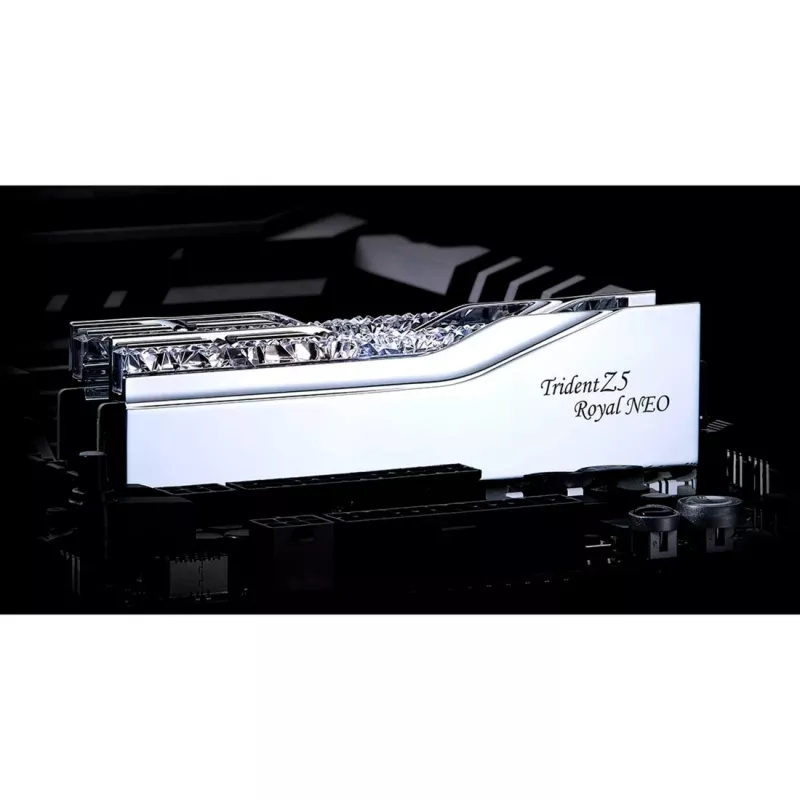 G.skill F5-8000J4048G24GX2-TR5NS Atminties modulis DDR5 2x24 GB