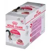 Šlapias kačių ėdalas Royal Canin Instinctive 12 x 85 g – vištiena, suaugusioms katėms, šlapimo takų sveikatai
