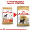 Sausas šunų ėdalas Royal Canin Miniature Schnauzer Adult, paukštiena, 3 kg, mažoms veislėms