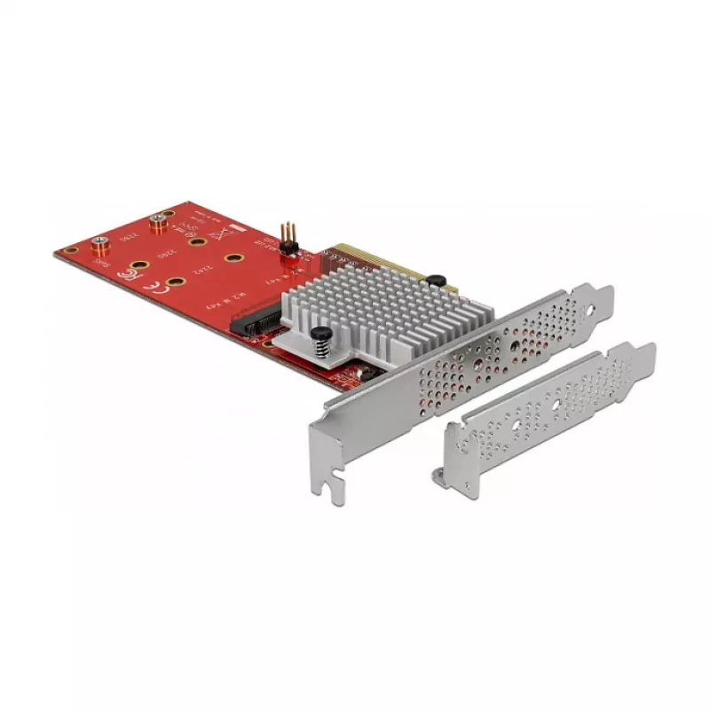 Vidinė M.2 adapterio kortelė DeLOCK 90305