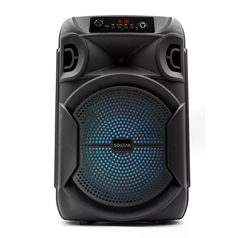 Belaidis garsiakalbis Bluetooth 5.3 SQUEAK PULSETOWER SQ1006