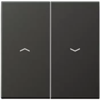 Jungiklio rokerinis dangtelis JUNG AL 2995 P AN antracitas, skirtas 4072.01 LED, IP44