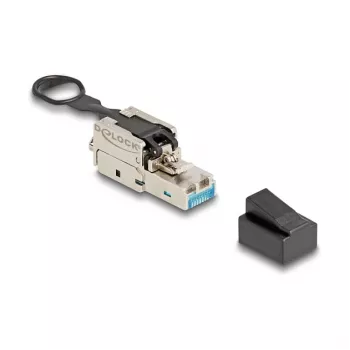 DeLOCK RJ45 kištukas lauko montavimui Cat.6A be įrankių sidabrinis vyriškas