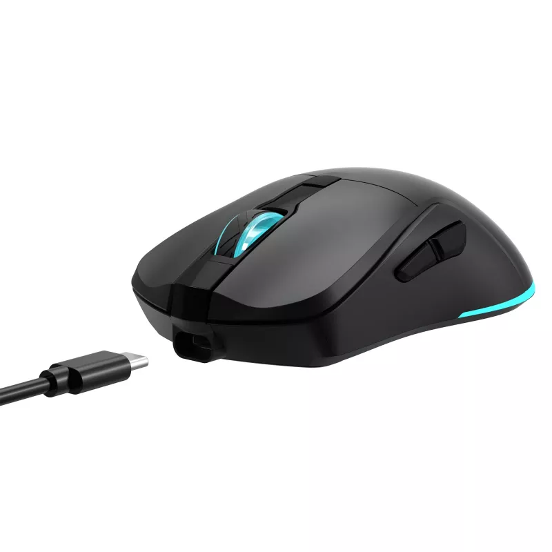 Pelė Baracuda BGM-121 Turtle Black USB