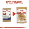 Šlapias šunų maistas Royal Canin Chihuahua Adult sachet 85 g – paukštiena, suaugusioms čihuahuoms 1–1,9 kg