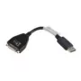 Lenovo 43N9160 DVI-D į DisplayPort laidas, juodas