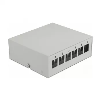 Patch Panel DeLOCK 43410 – 6 prievadų metalinis skirstytuvas