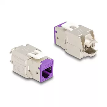 DeLOCK keystone modulis 88121 Plokščias Violetinis RJ-45 10 vnt.