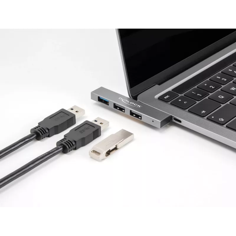 DeLOCK 3 prievadų plonas USB šakotuvas USB Type-C 10 Gbps 2 x USB 2.0