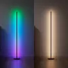 Statinė lempa Nanoleaf N7204K02-1FL 22W RGBW